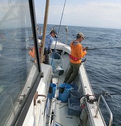 第二清洋丸 釣果