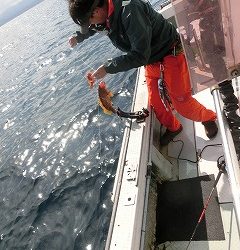 第二清洋丸 釣果