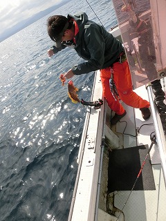 第二清洋丸 釣果