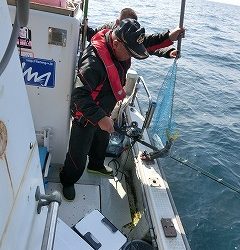 第二清洋丸 釣果