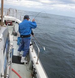 第二清洋丸 釣果