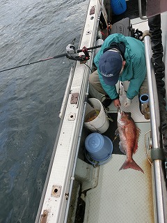 第二清洋丸 釣果