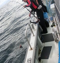 第二清洋丸 釣果