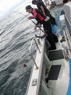 第二清洋丸 釣果