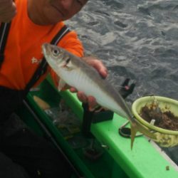 中山丸 釣果