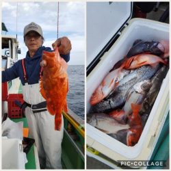 もと明丸 釣果