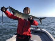 ＮＡＧＡＳＨＩＭA ＭＡＲＵ（永島丸） 釣…