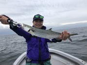 ＮＡＧＡＳＨＩＭA ＭＡＲＵ（永島丸） 釣果