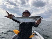 NAGASHIMA MARU(永島丸) 釣果