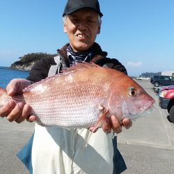 潮丸 釣果