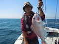 釣船　キティ 釣果