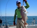 釣船　キティ 釣果