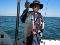 釣船　キティ 釣果