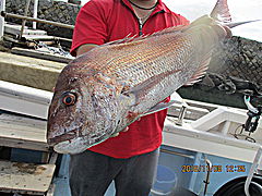 遊漁船 未紗奈 釣果