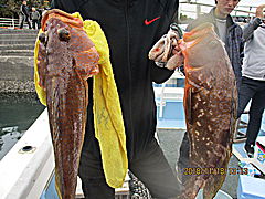 遊漁船 未紗奈 釣果