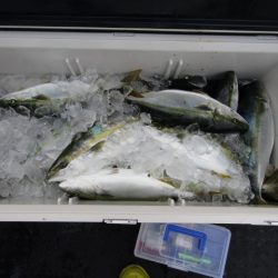 ジギング船 BLUEWATER 釣果