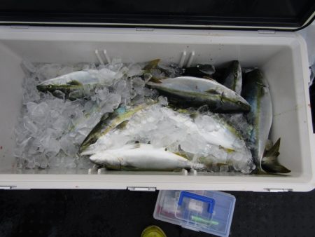 ジギング船 BLUEWATER 釣果