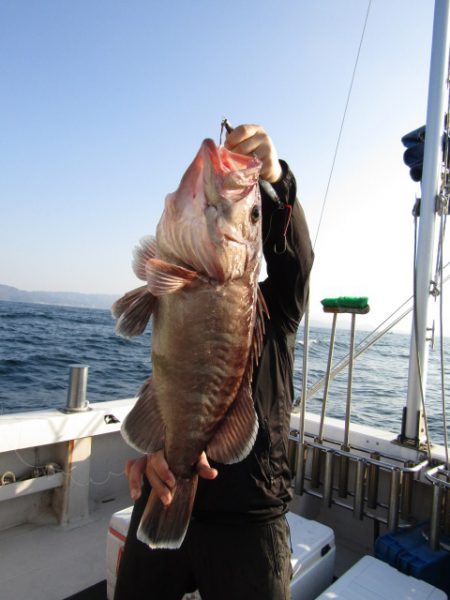 ジギング船 BLUEWATER 釣果