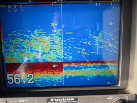 ジギング船 BLUEWATER 釣果