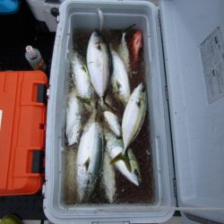 ジギング船 BLUEWATER 釣果