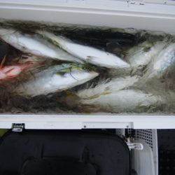 ジギング船 BLUEWATER 釣果