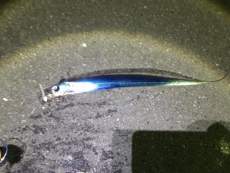 がんばれ！横浜タチウオ