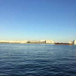 サビキ&タチウオ