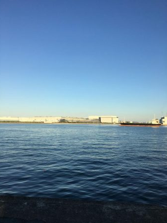 サビキ&タチウオ