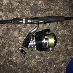 ノマセ不発、でもタチウオはいた！