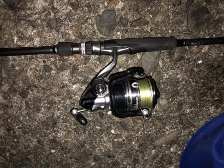 ノマセ不発、でもタチウオはいた！