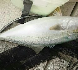 色んな釣り