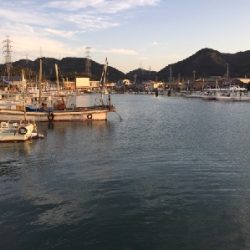 アジ探しに谷川へ