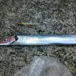 二年ぶりの武庫一