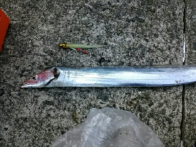 二年ぶりの武庫一