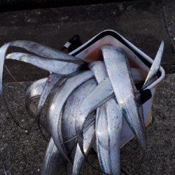 おひさの沖堤防