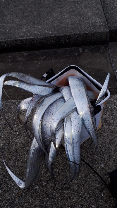 おひさの沖堤防