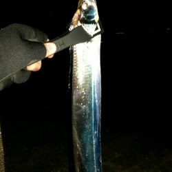 神戸沖堤調査No2