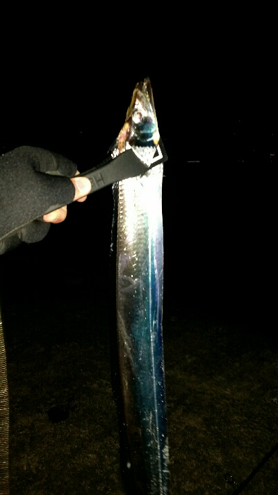 神戸沖堤調査No2