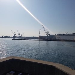 青物からのタチウオ♪