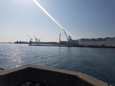 青物からのタチウオ♪