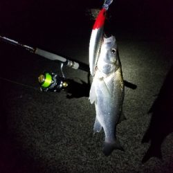 ☆久々の釣果☆