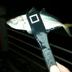 舞洲アジングNo7