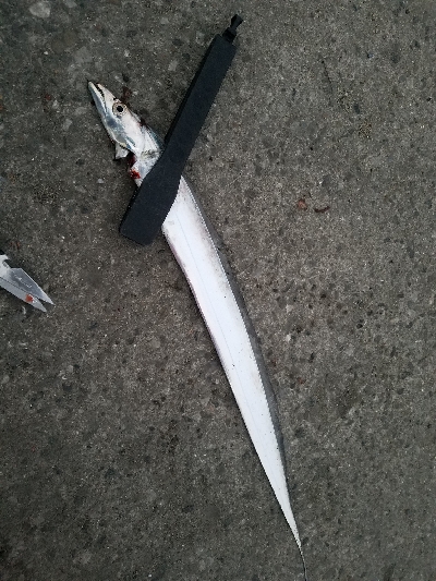 やっぱり渋い･･･