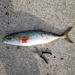 呑ませリベンジ