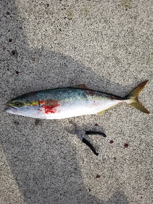 呑ませリベンジ