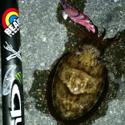 釣り人いっぱい