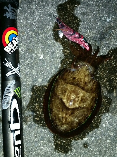 釣り人いっぱい