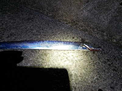 そろそろ終盤？