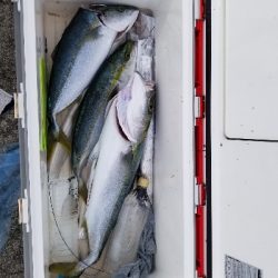 足で稼ぐ釣り。