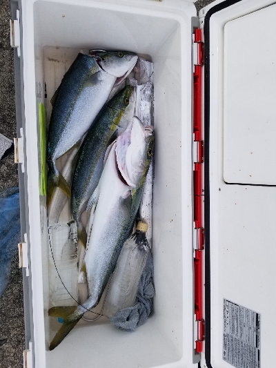 足で稼ぐ釣り。